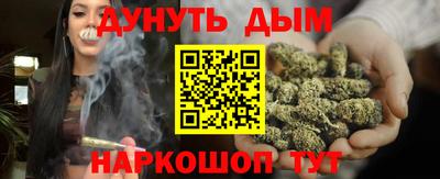 сатива Пенза