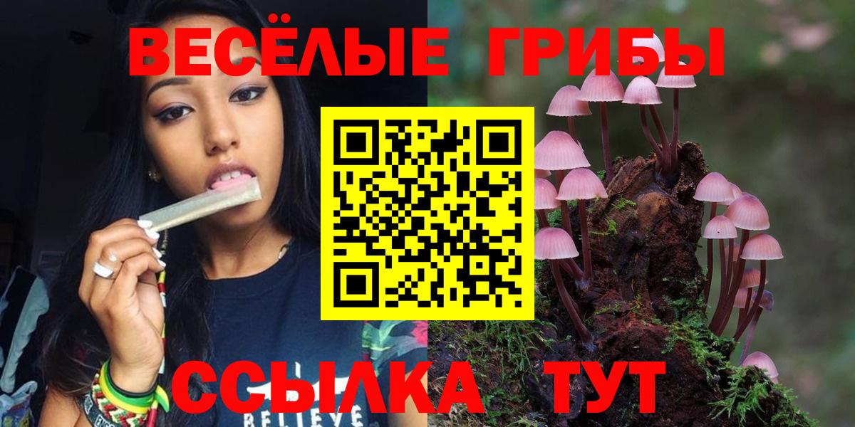 Галлюциногенные грибы мухоморы  Вход с VPN  Псилоцибиновые грибы мицелий  Торжок 
